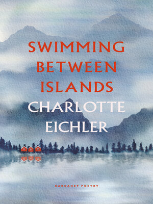 cover image of Swimming Between Islands